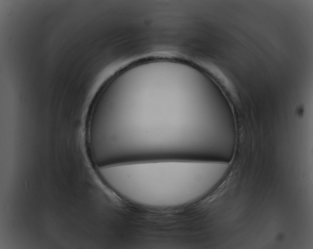 X0000101991327200807180815