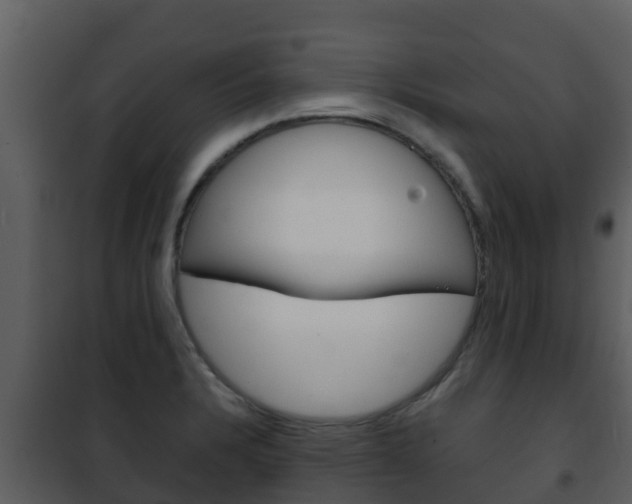 X0000101991328200807180815