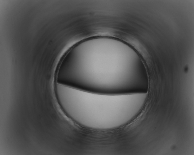 X0000101991331200807180815