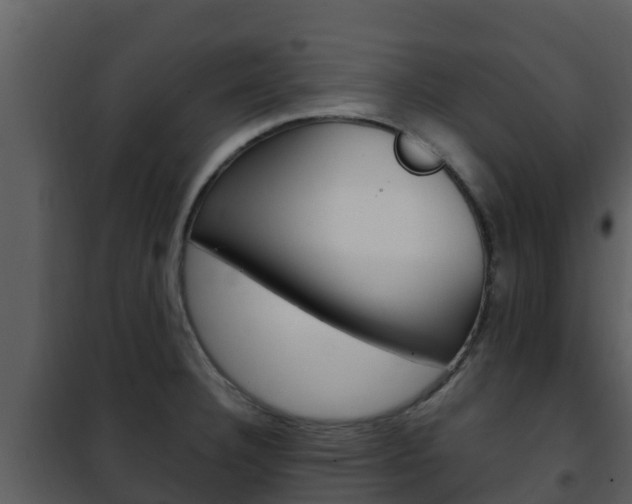 X0000101991332200807180815