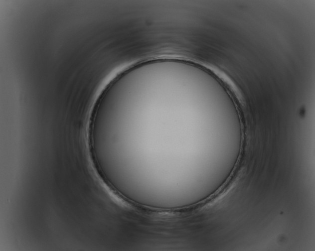 X0000101991333200807180815