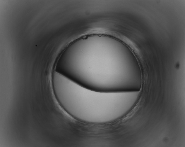X0000101991334200807180815