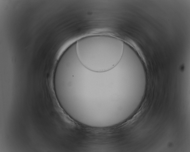 X0000101991336200807180815