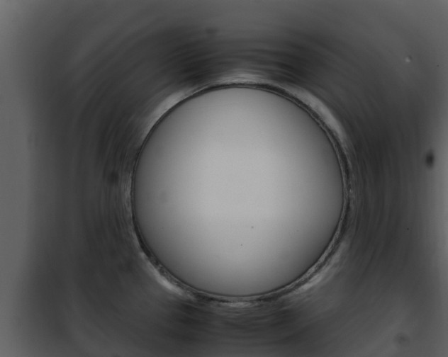 X0000101991337200807180815