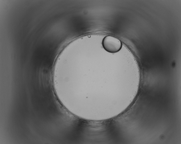 X0000101991338200807180815