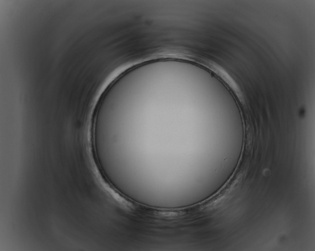 X0000101991339200807180815