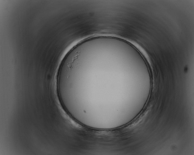 X0000101991341200807180815