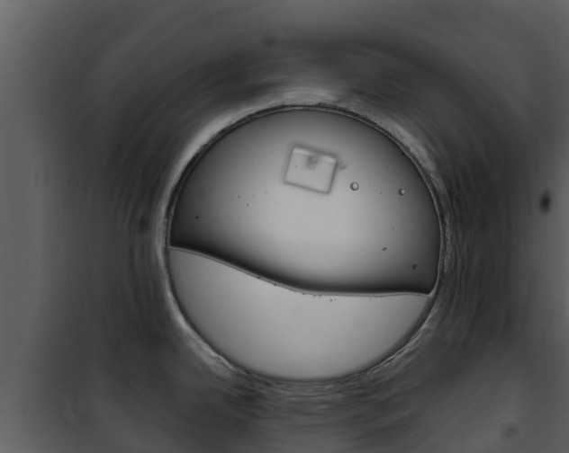 X0000101991342200807180815
