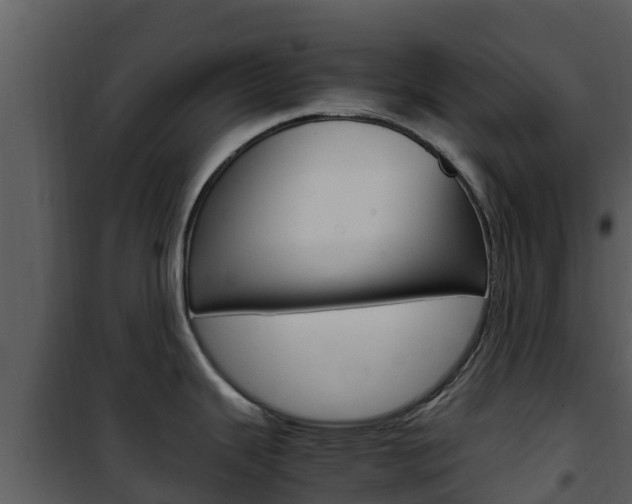 X0000101991343200807180815