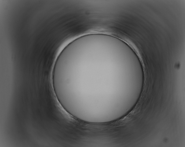 X0000101991344200807180815