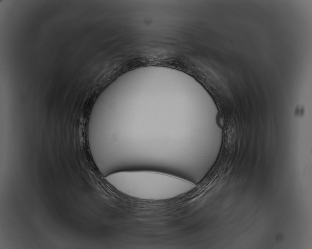 X0000101991346200807180814