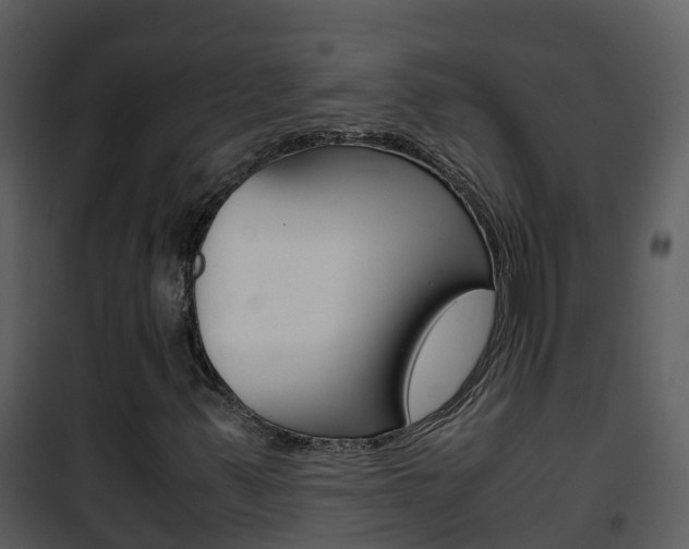 X0000101991347200807180814
