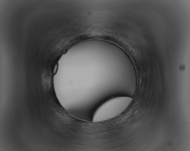 X0000101991348200807180814