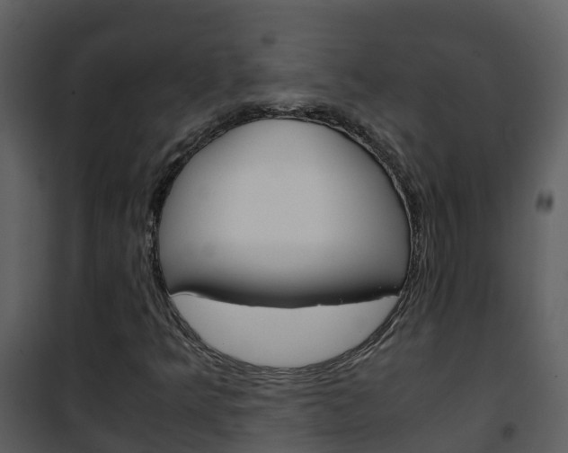 X0000101991349200807180814