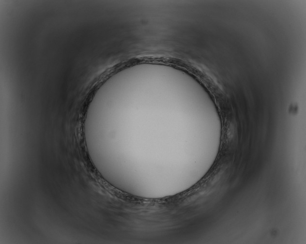 X0000101991350200807180814