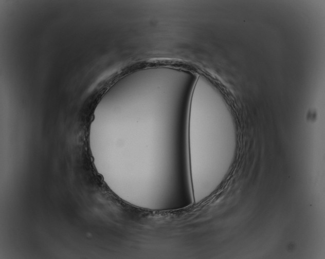 X0000101991351200807180814