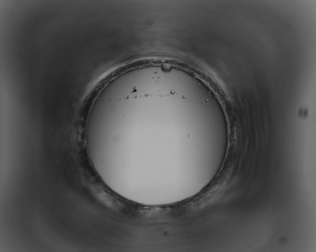 X0000101991352200807180814