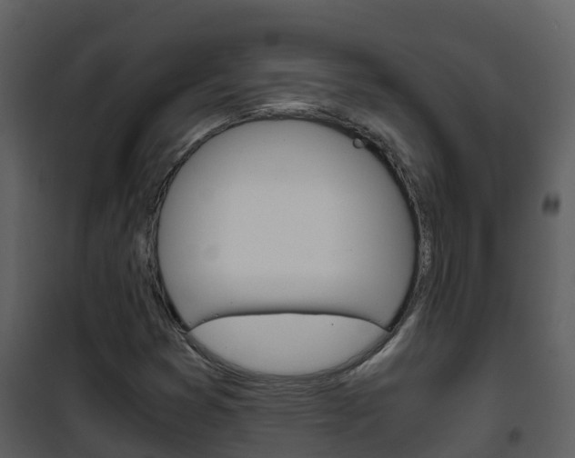 X0000101991353200807180814