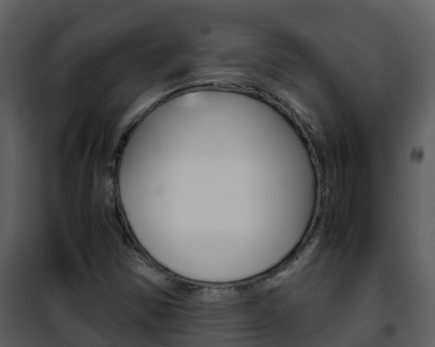 X0000101991354200807180814