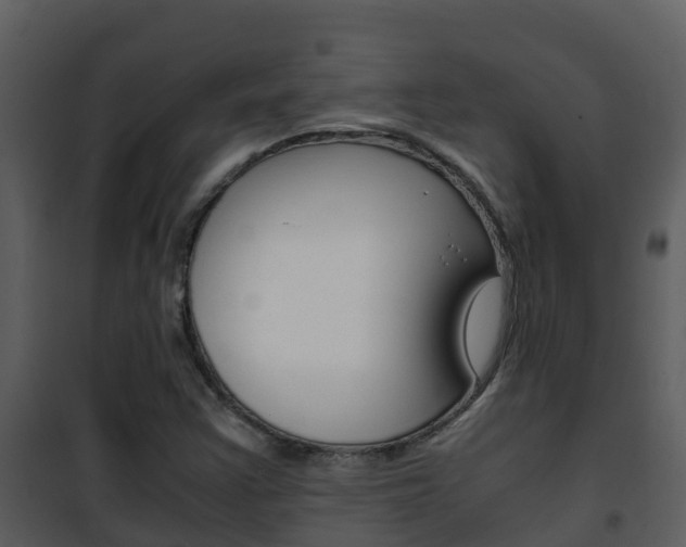 X0000101991355200807180814