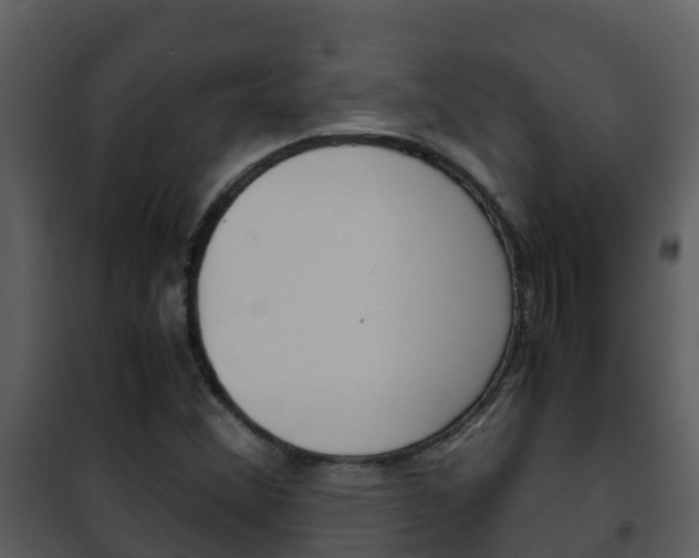 X0000101991356200807180814