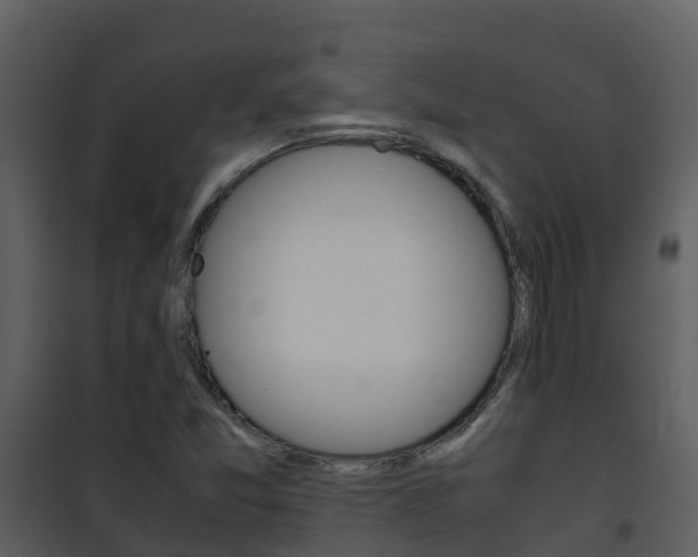 X0000101991357200807180814