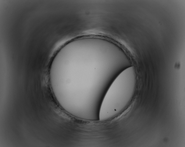 X0000101991358200807180814