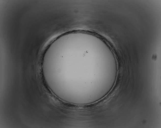 X0000101991359200807180814