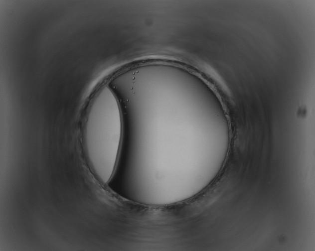 X0000101991360200807180814
