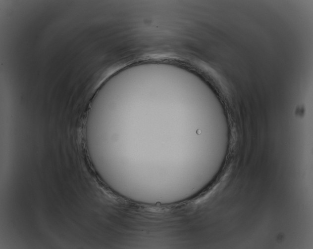 X0000101991361200807180814