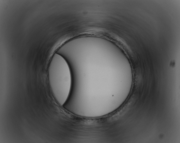 X0000101991362200807180814