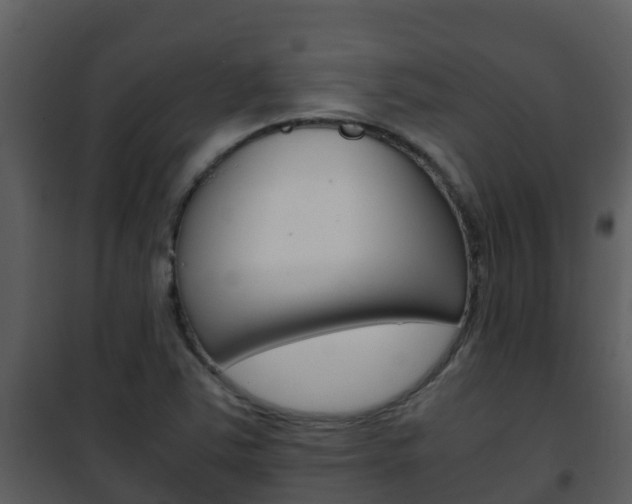X0000101991363200807180814