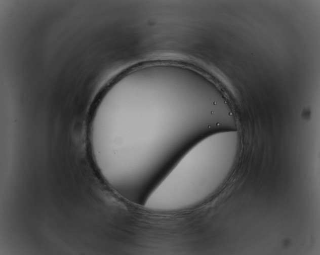 X0000101991364200807180814