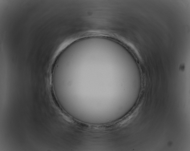 X0000101991365200807180814