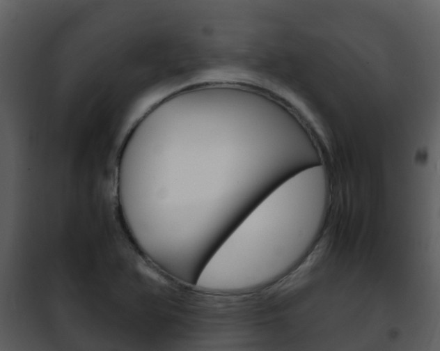 X0000101991366200807180814