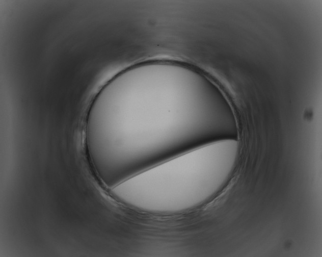X0000101991367200807180814