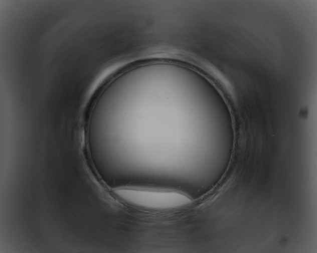 X0000101991368200807180814
