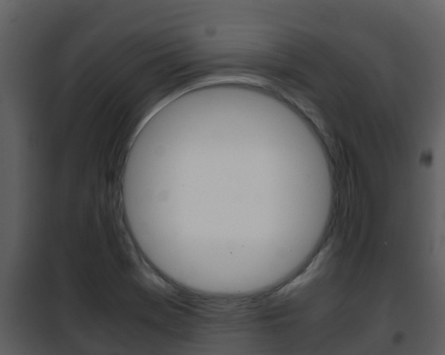 X0000101991369200807180814