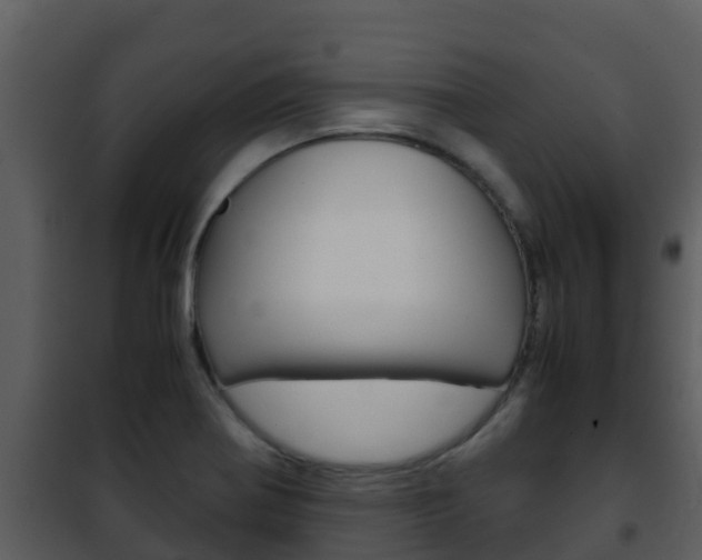 X0000101991370200807180814