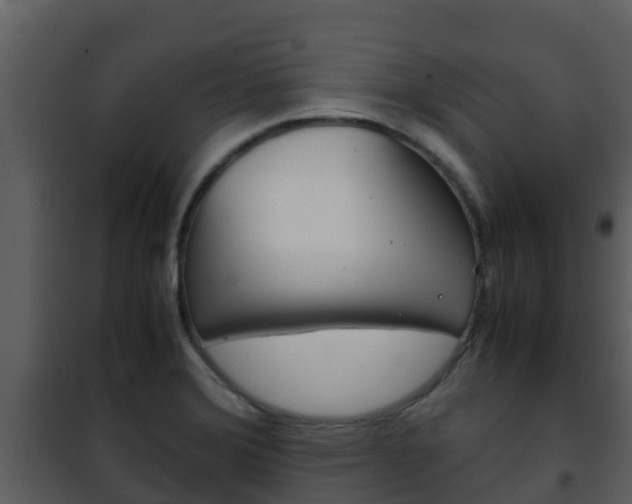 X0000101991372200807180814