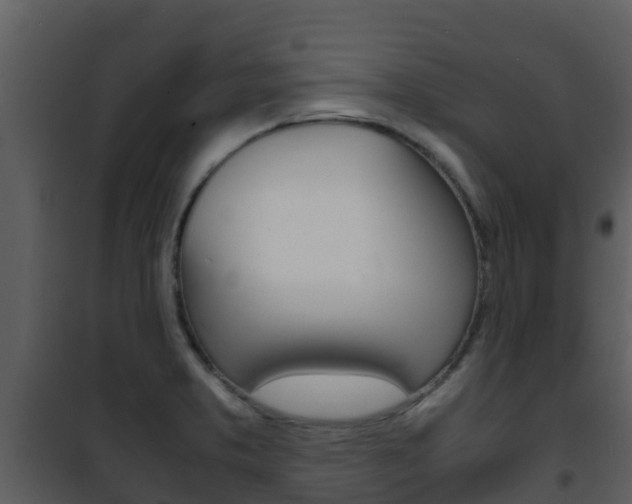 X0000101991373200807180814