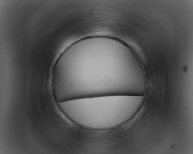 X0000101991374200807180814