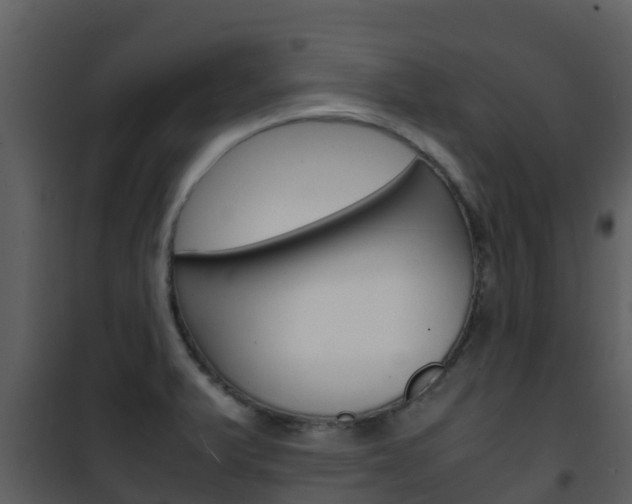 X0000101991375200807180814