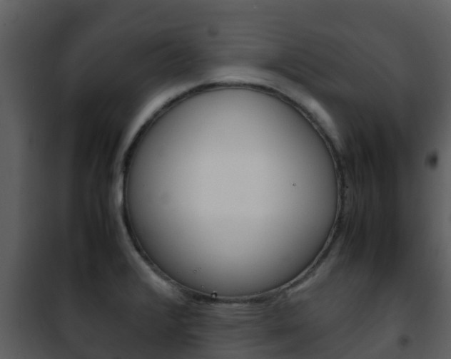 X0000101991376200807180814