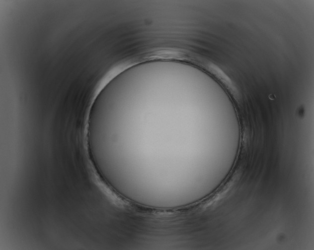 X0000101991378200807180814