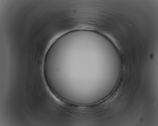 X0000101991379200807180814