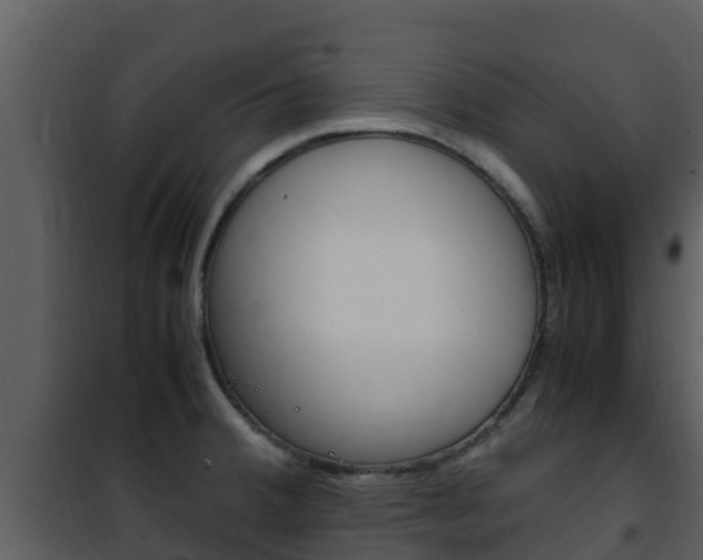 X0000101991380200807180814