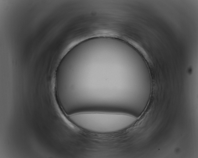 X0000101991383200807180814