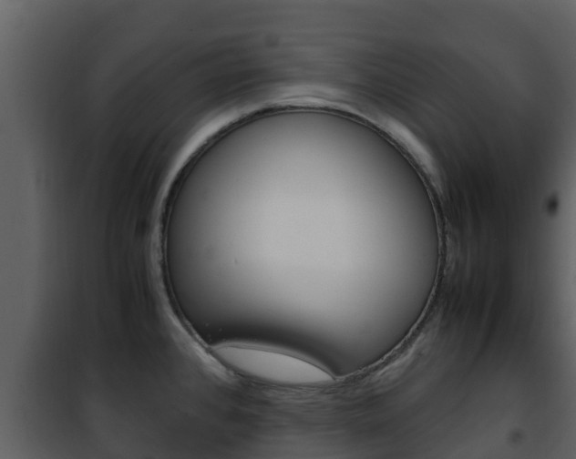 X0000101991384200807180814
