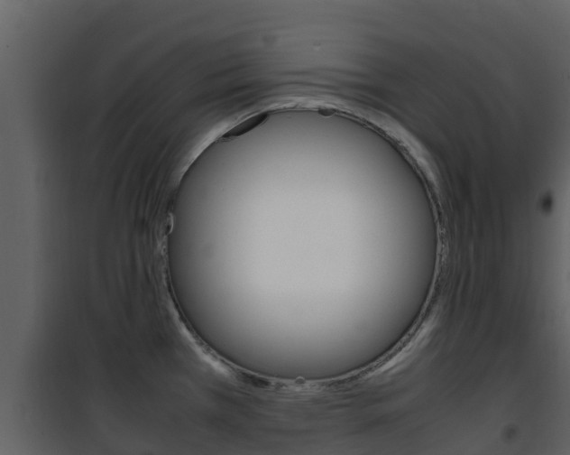 X0000101991385200807180814